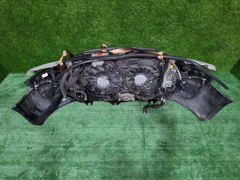 Ноускат — фото 10