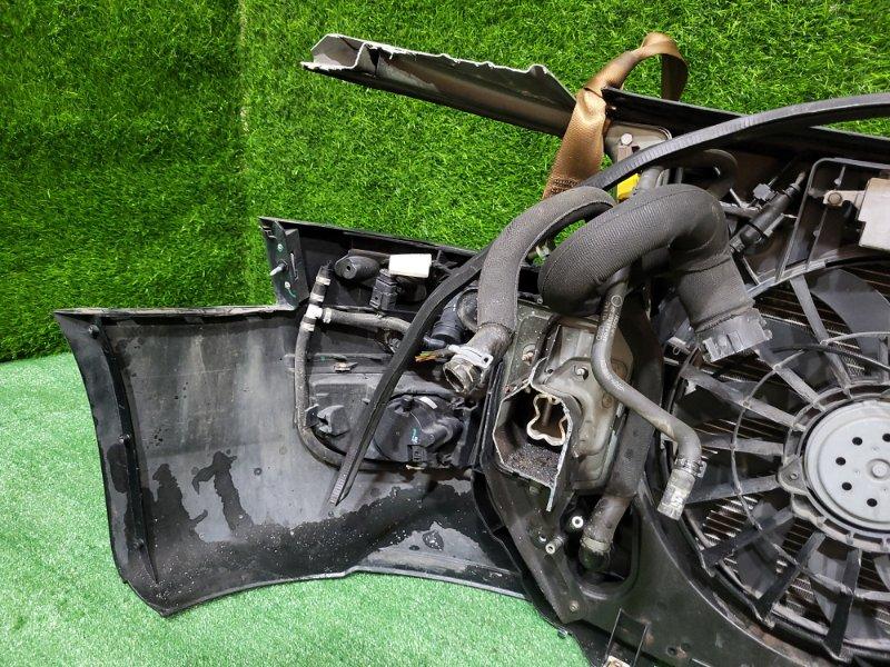 Ноускат — фото 14