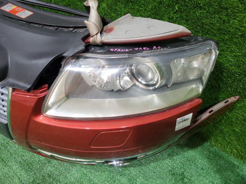 Ноускат — фото 5