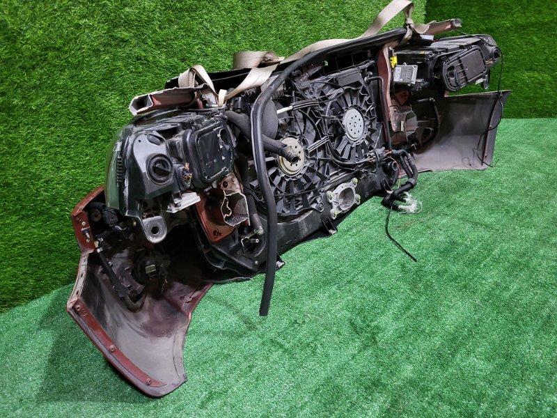 Ноускат — фото 11