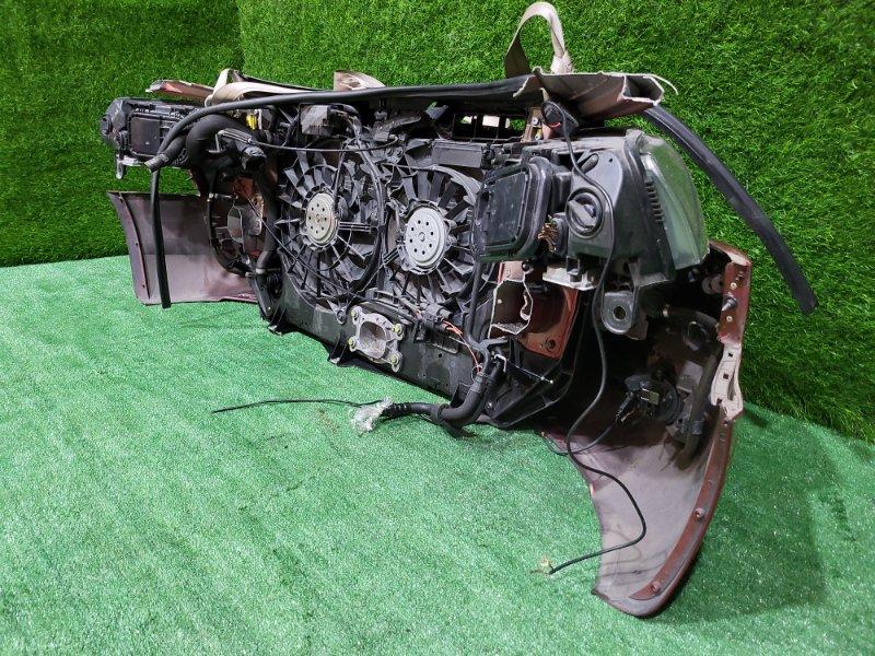 Ноускат — фото 12