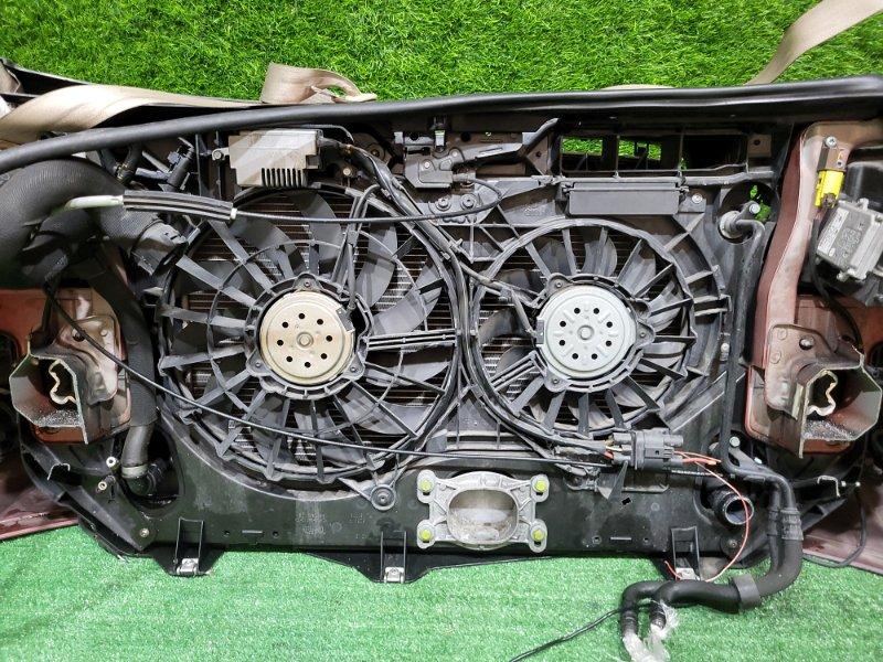 Ноускат — фото 15