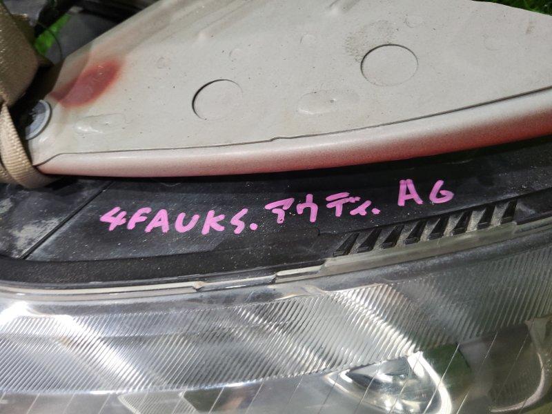 Ноускат — фото 16