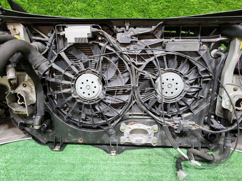 Ноускат — фото 15