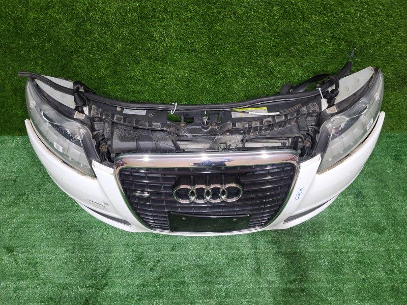 Ноускат — фото 2