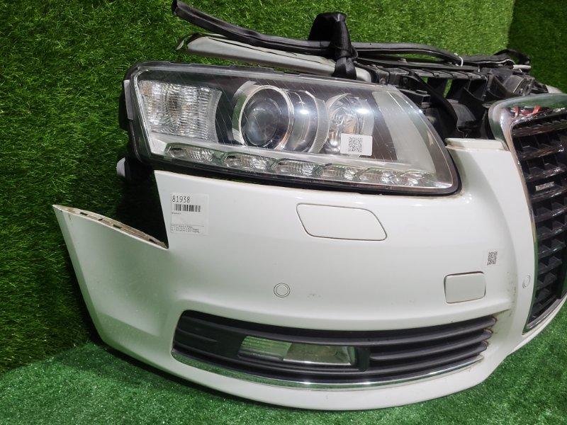 Ноускат — фото 8