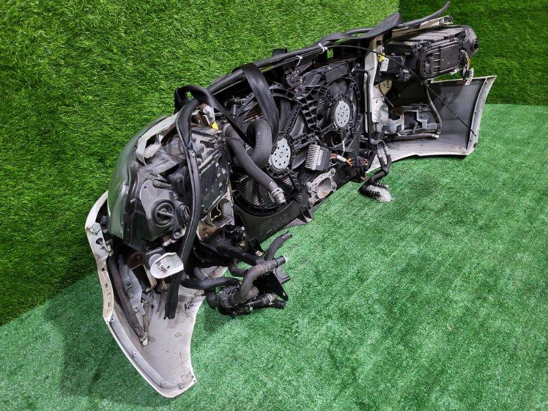 Ноускат — фото 11