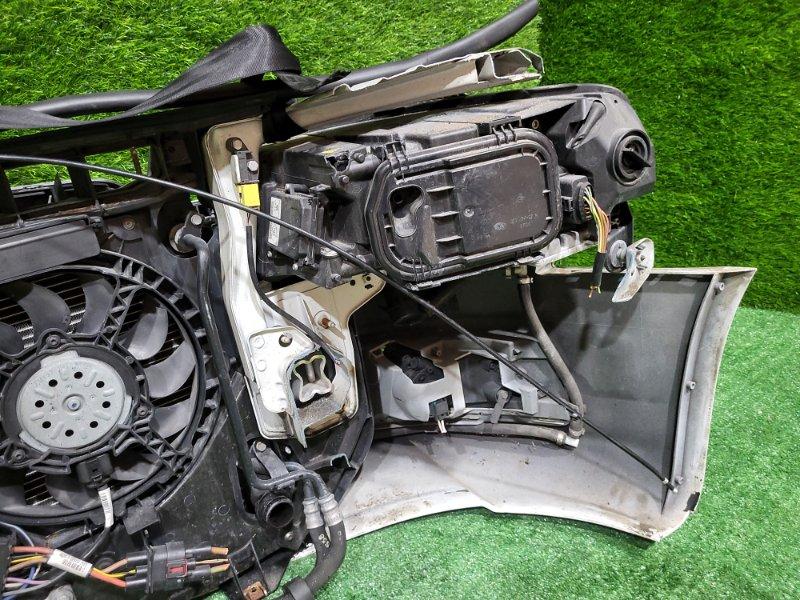 Ноускат — фото 13