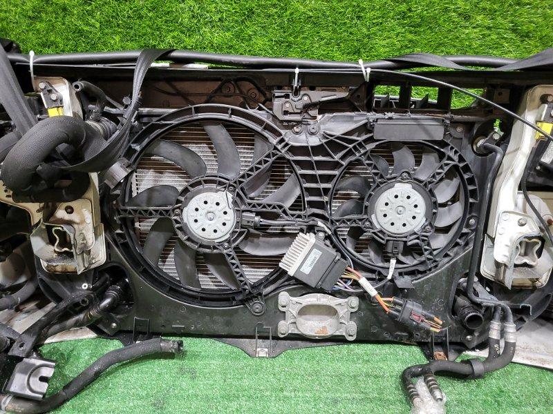 Ноускат — фото 15