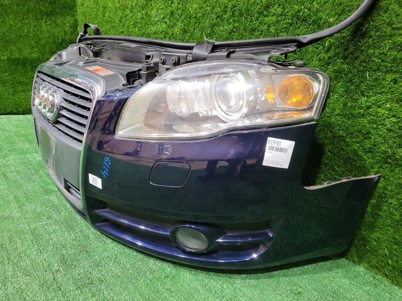 Ноускат — фото 4