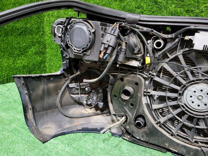 Ноускат — фото 14