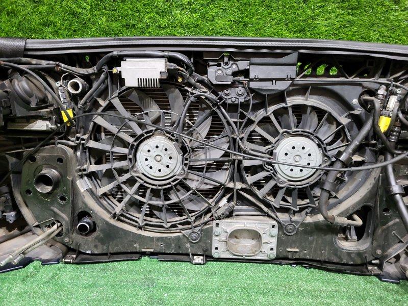 Ноускат — фото 15