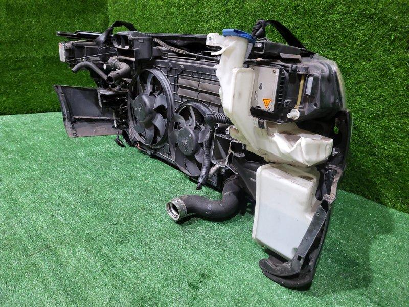 Ноускат — фото 12