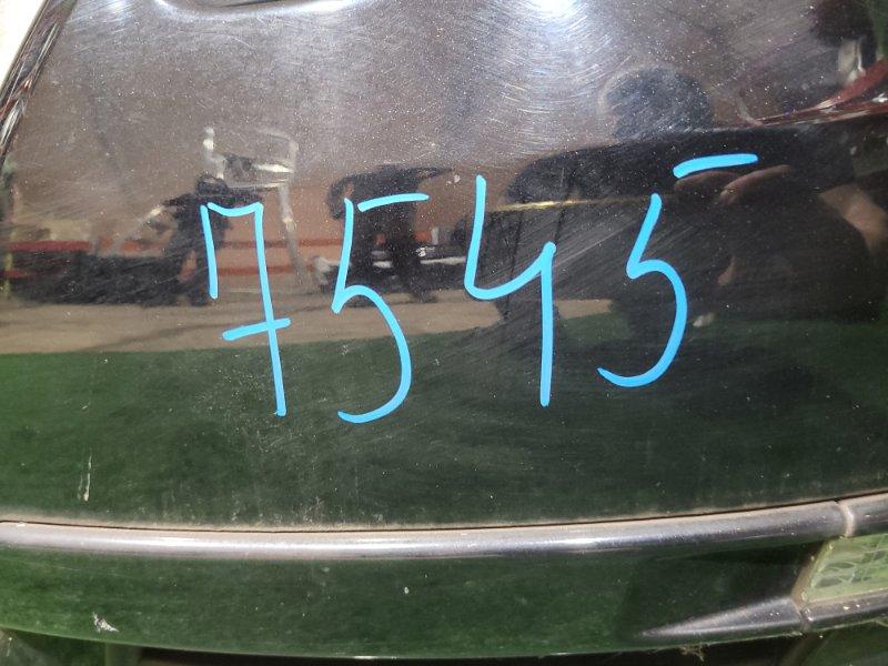 Ноускат — фото 16