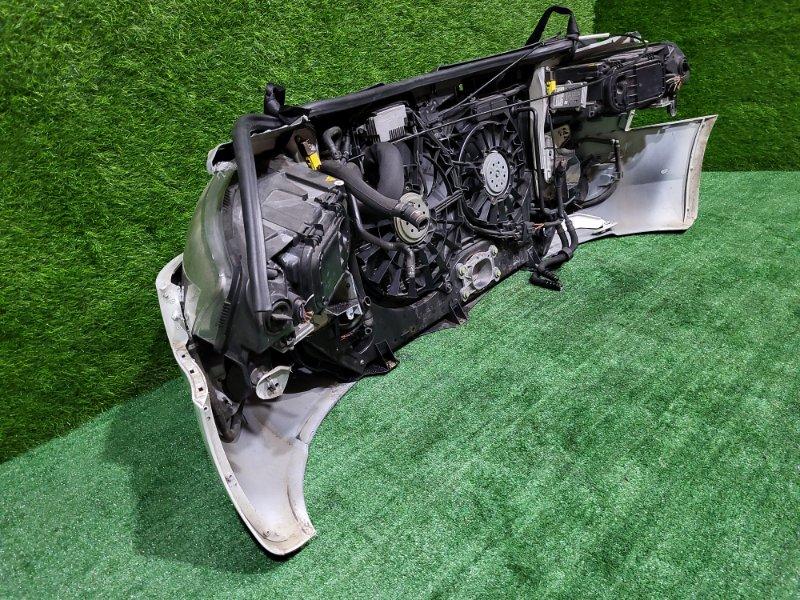 Ноускат — фото 11