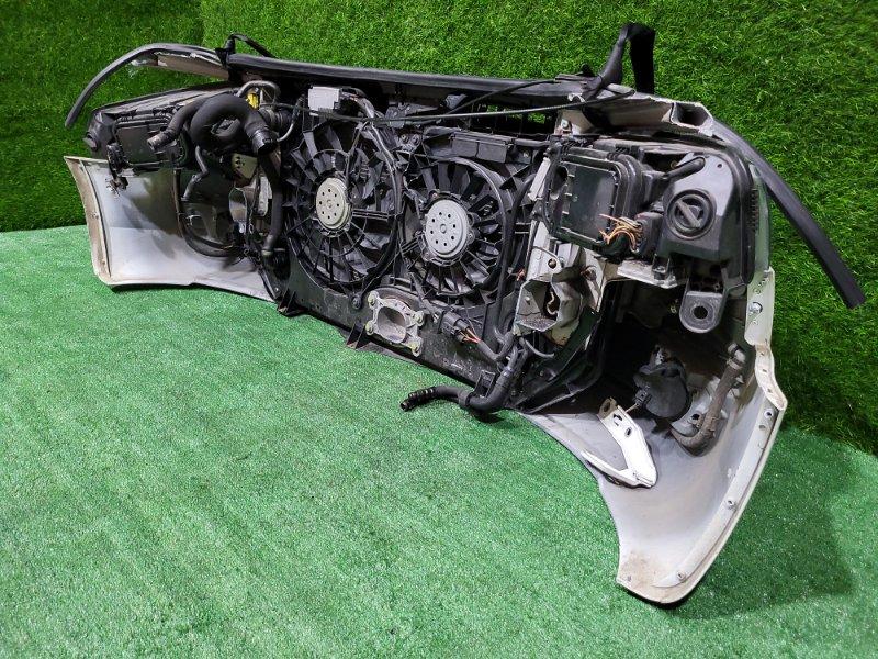 Ноускат — фото 12