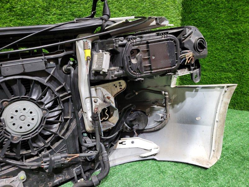 Ноускат — фото 13