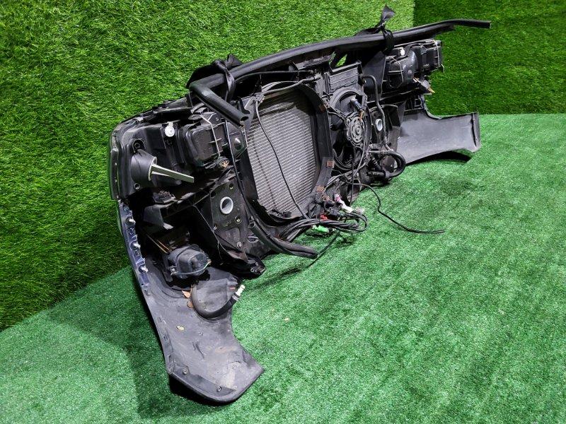 Ноускат — фото 11