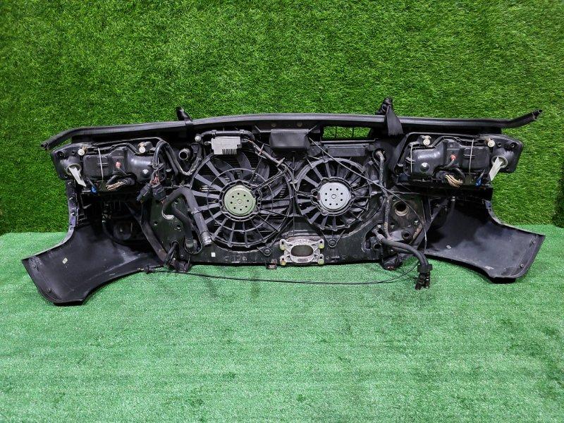 Ноускат — фото 9