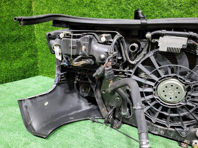 Ноускат — фото 14