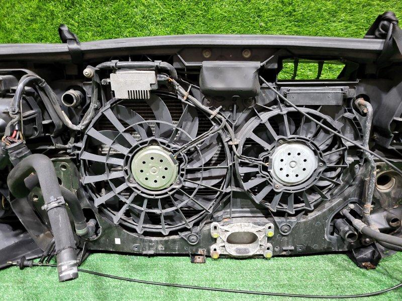 Ноускат — фото 15