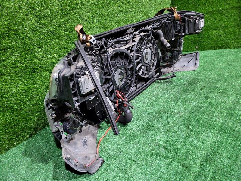 Ноускат — фото 11