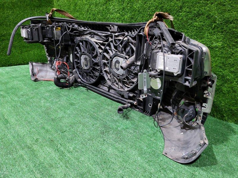 Ноускат — фото 12