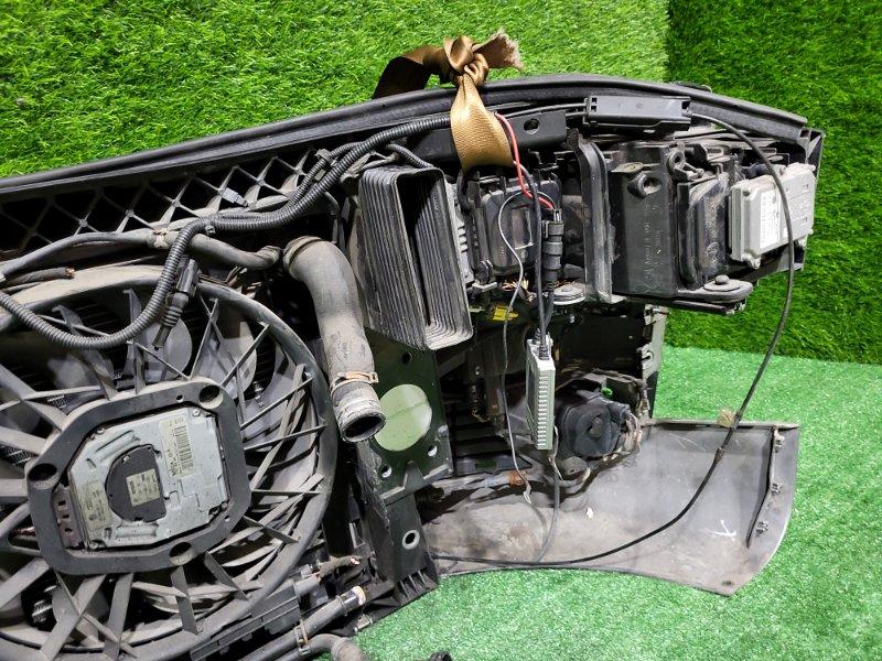 Ноускат — фото 13