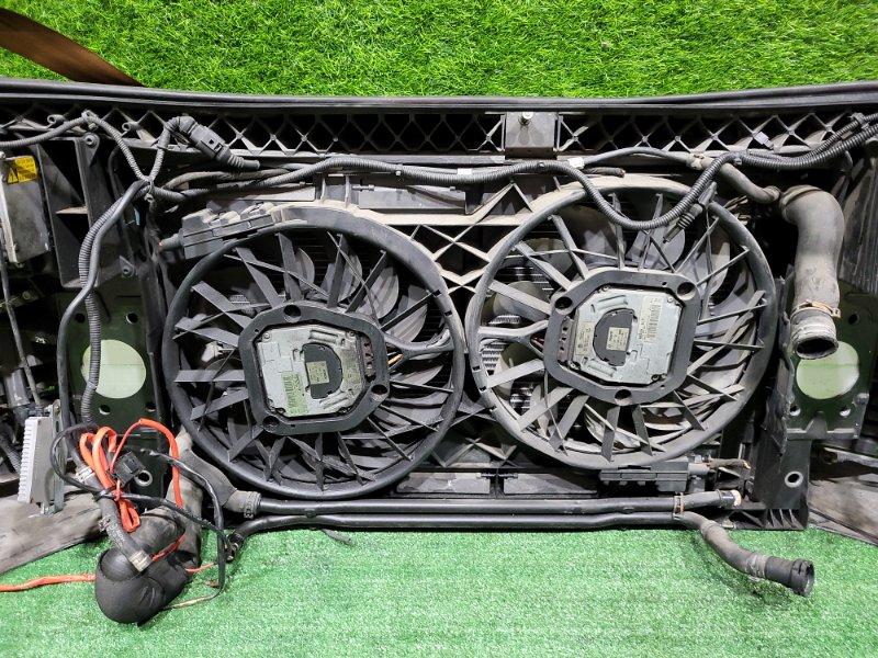 Ноускат — фото 15