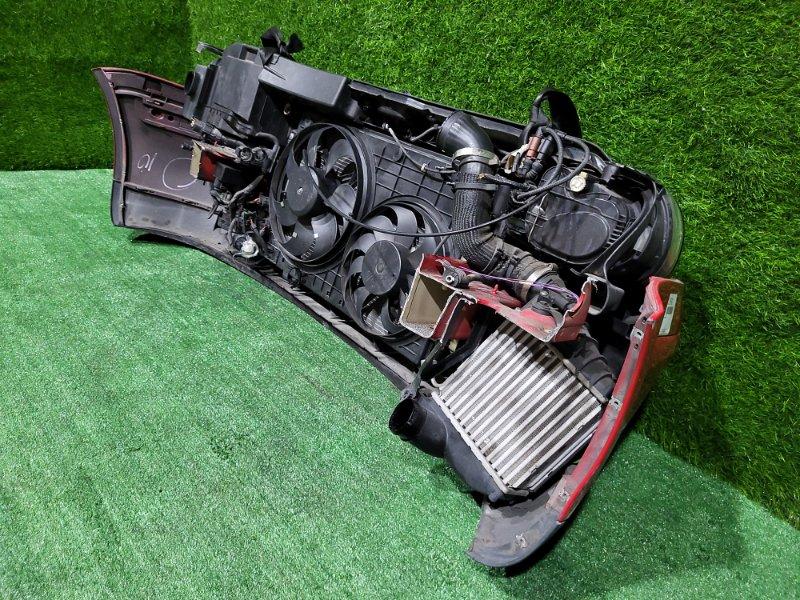 Ноускат — фото 12