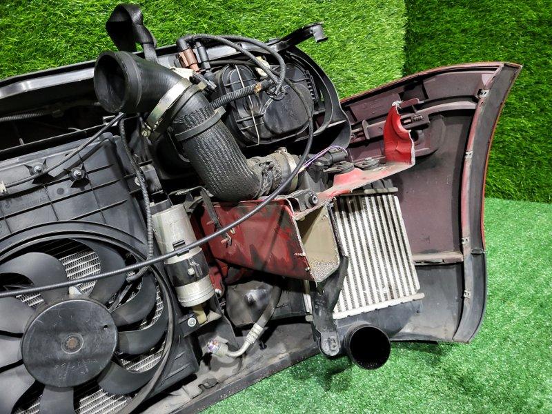 Ноускат — фото 13