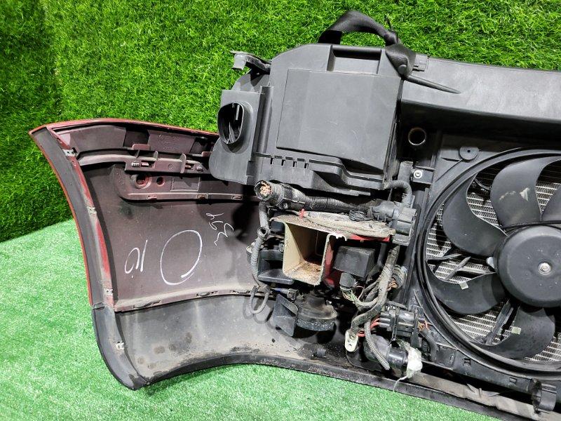 Ноускат — фото 14