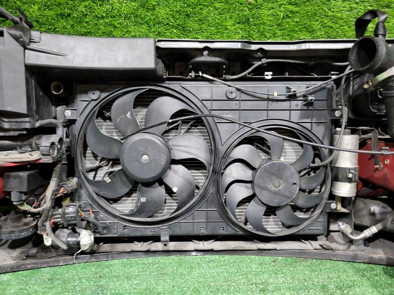 Ноускат — фото 15