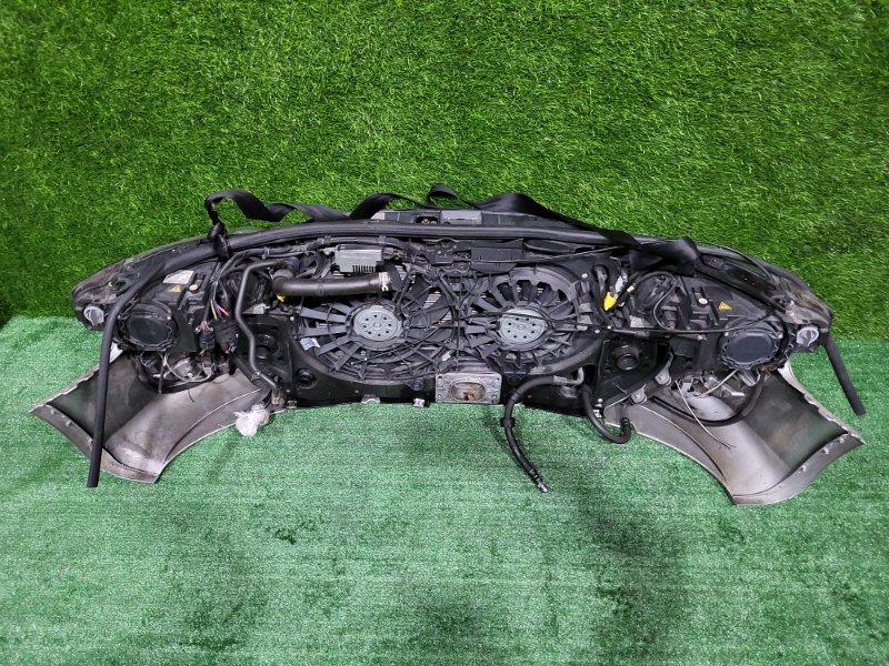 Ноускат — фото 10