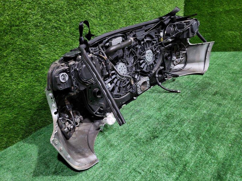 Ноускат — фото 11