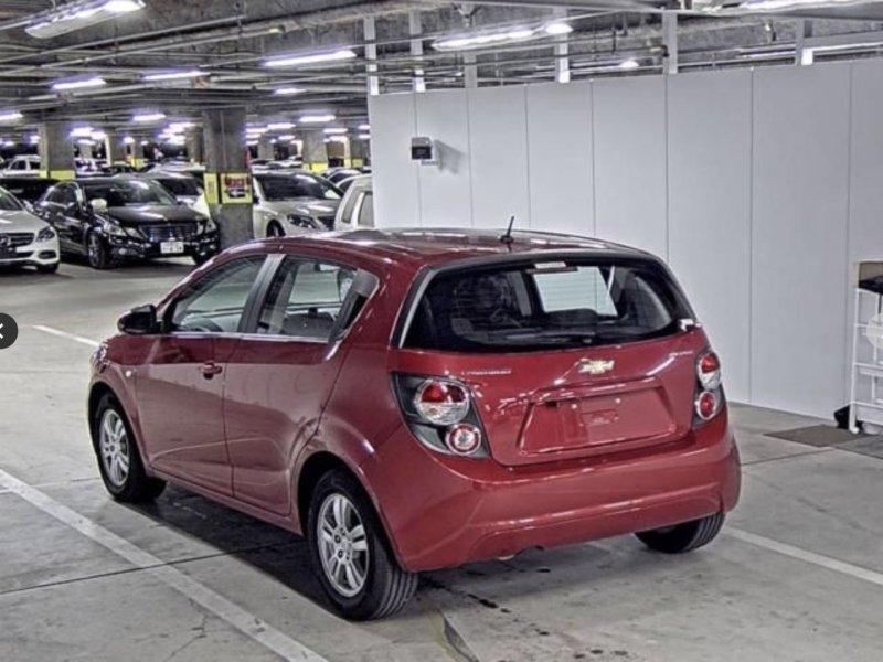 Фото донора 2