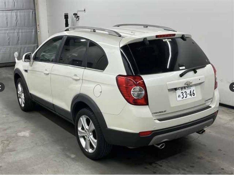 Фото донора 4