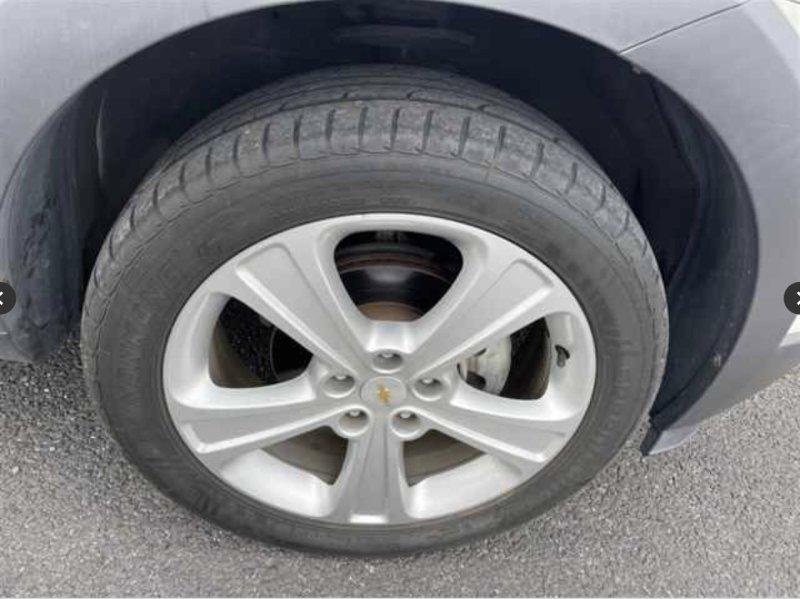 Фото донора 5