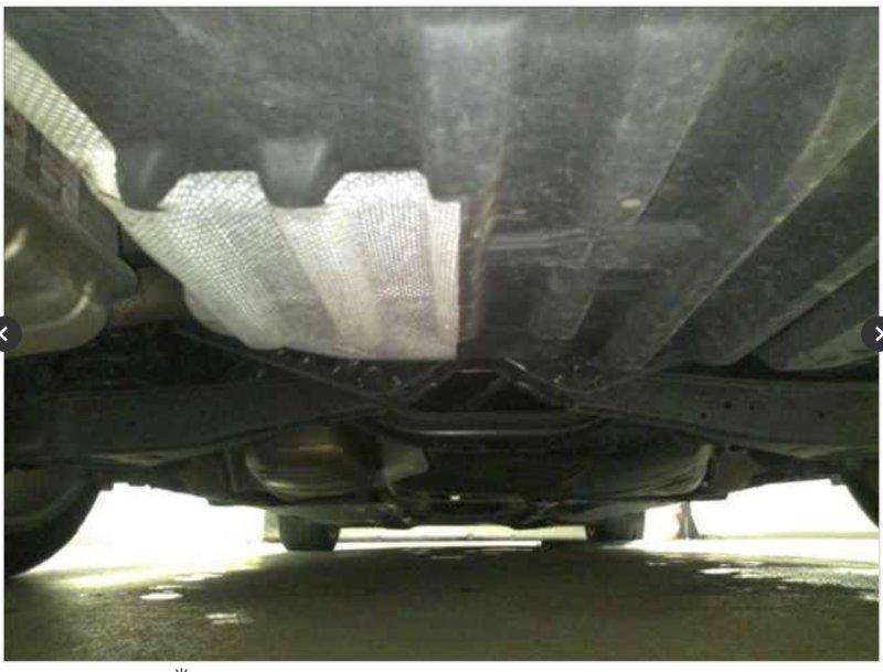 Фото донора 7