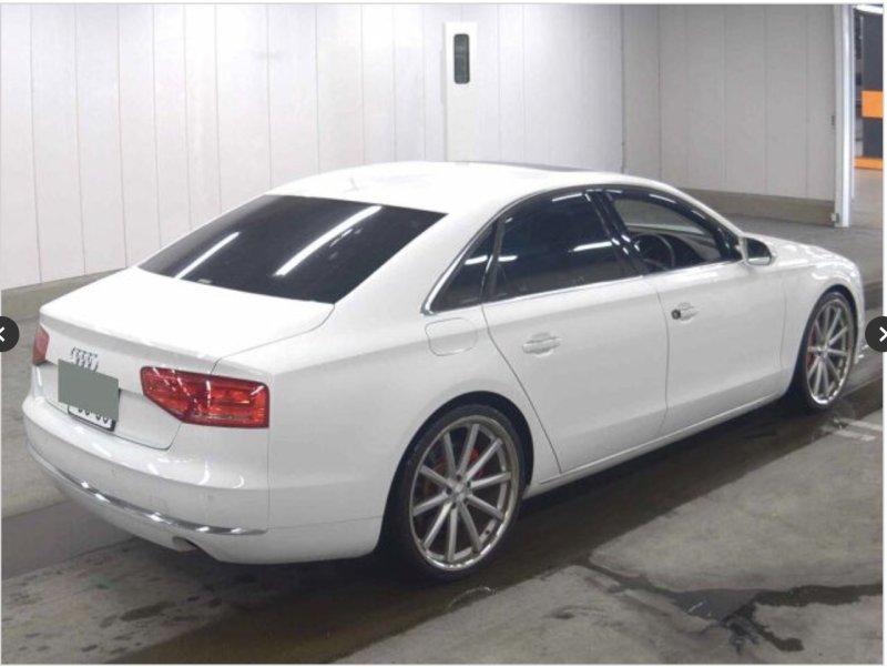 Фото донора 4