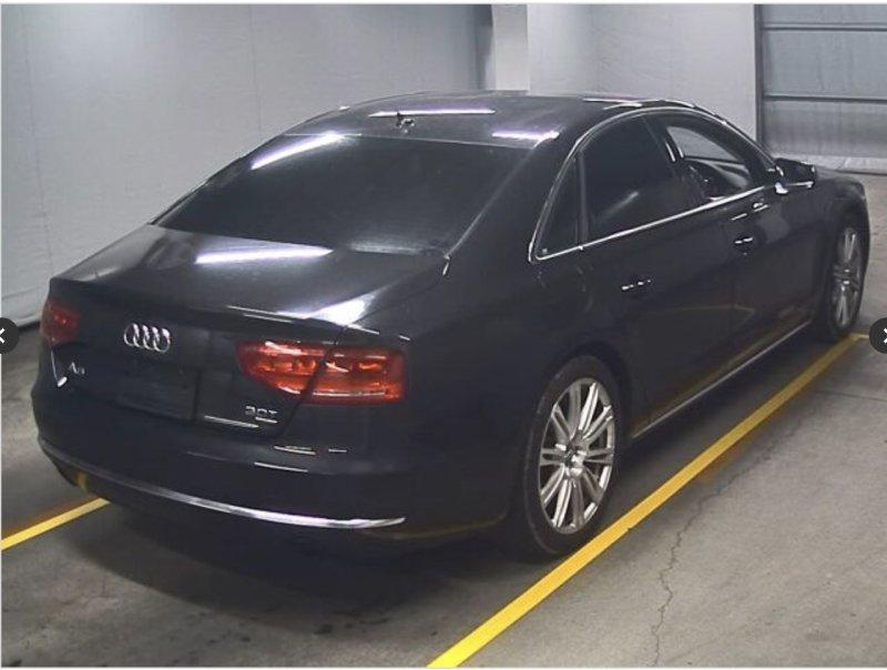 Фото донора 4