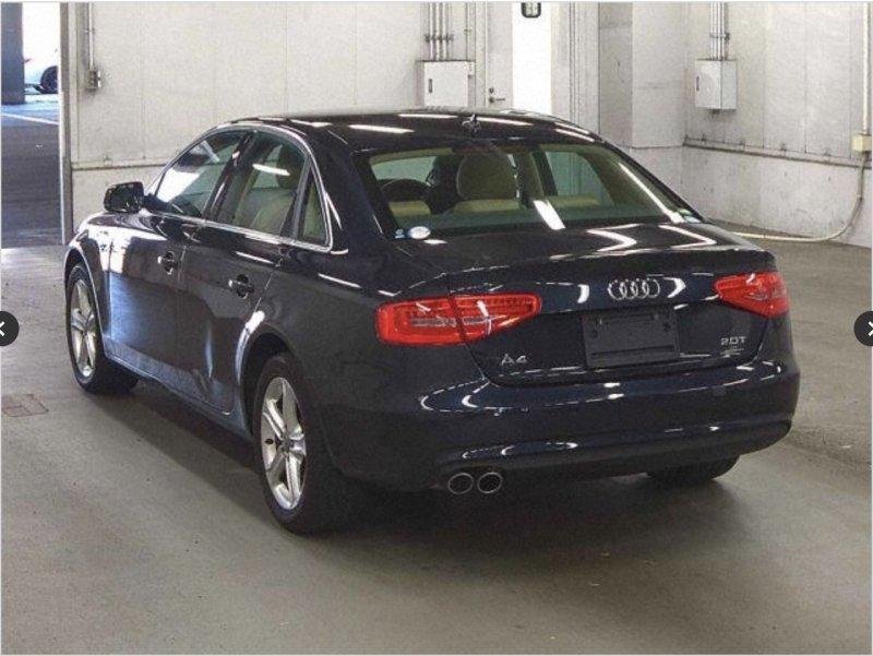 Фото донора 3