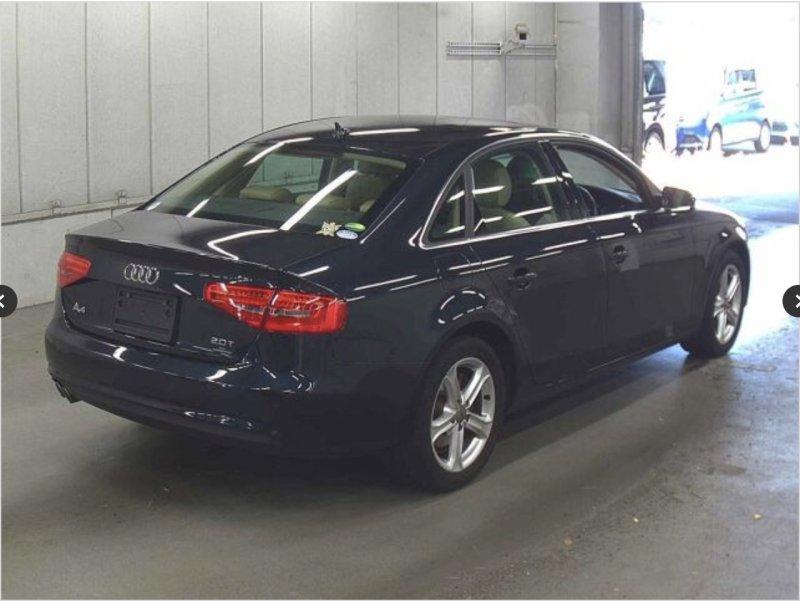 Фото донора 4