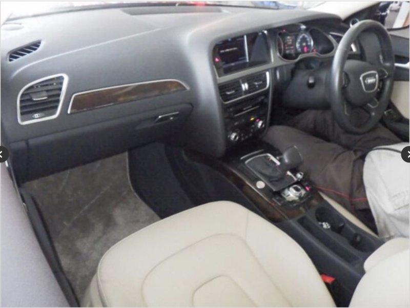 Фото донора 5