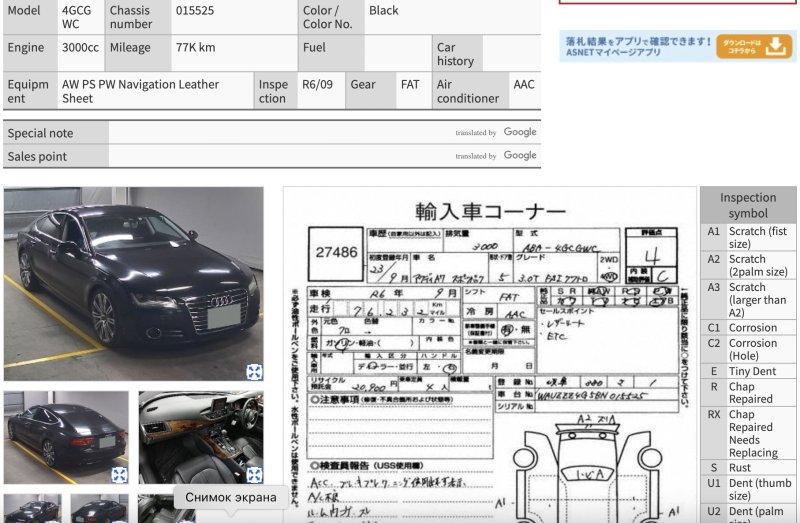 Фото донора 7