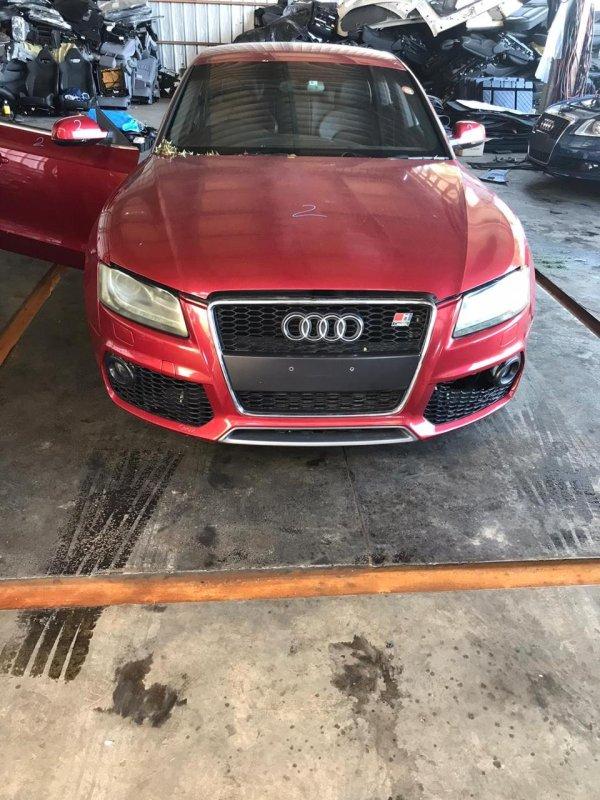 Фото донора 3