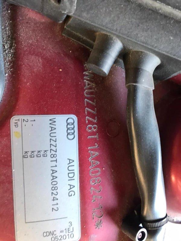 Фото донора 5