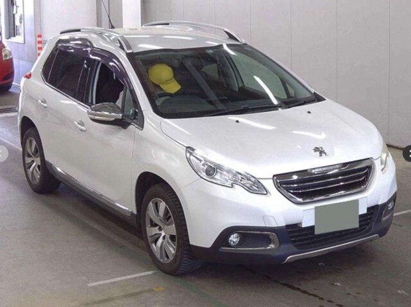 Фото донора 1