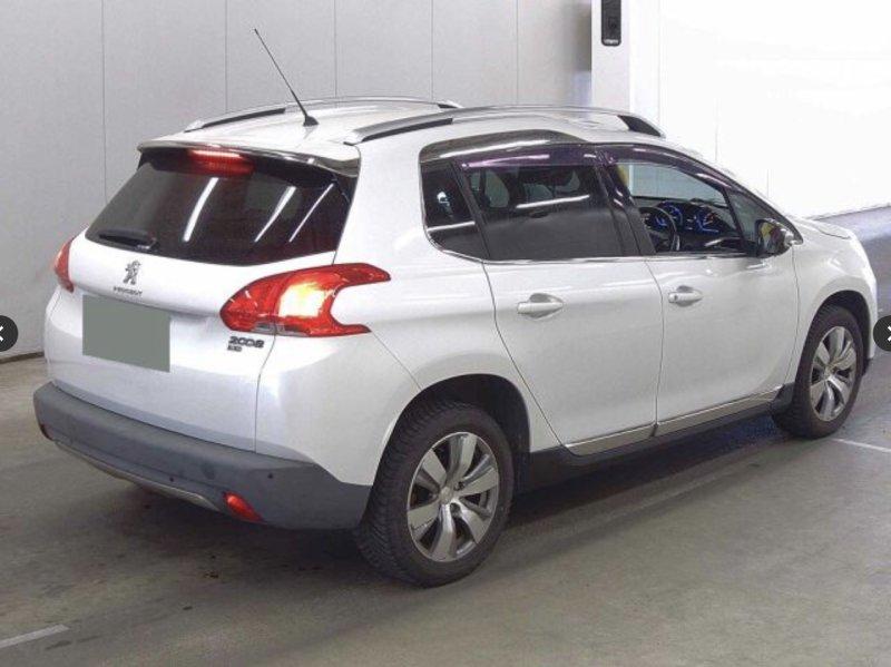 Фото донора 4