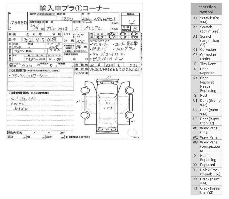 Фото донора 6
